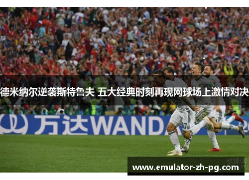 德米纳尔逆袭斯特鲁夫 五大经典时刻再现网球场上激情对决