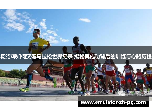 杨绍辉如何突破马拉松世界纪录 揭秘其成功背后的训练与心路历程
