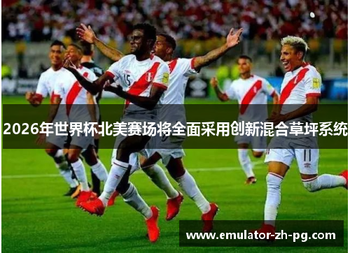 2026年世界杯北美赛场将全面采用创新混合草坪系统