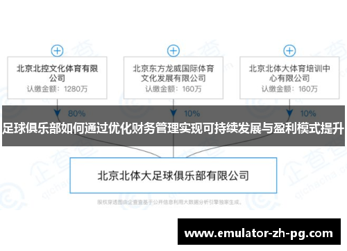 足球俱乐部如何通过优化财务管理实现可持续发展与盈利模式提升